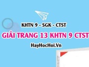 Giải KHTN 9 trang 13 Chân trời sáng tạo SGK